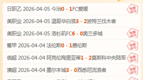 利兹联对阵阿森纳第18轮：马丁内利梅开二度，萨卡立功，罗首开纪录